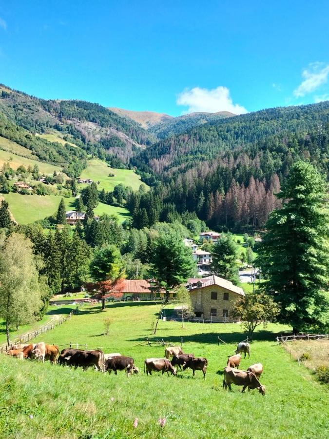 Casa Vacanza Pieve Pisogne Eksteriør billede